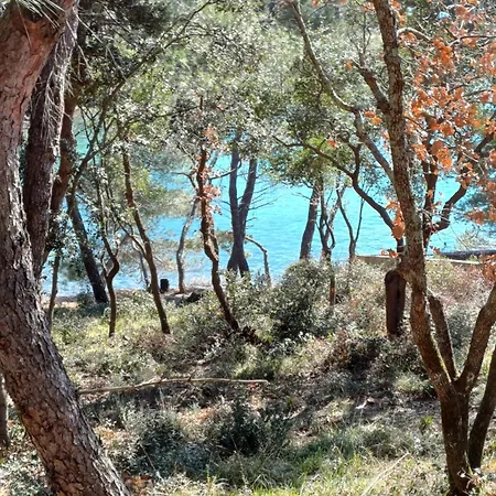 펜션 Vaitiare